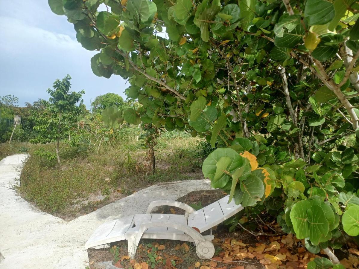 "Le Champs" Des Oiseaux Villa Anse-Bertrand Kültér fotó